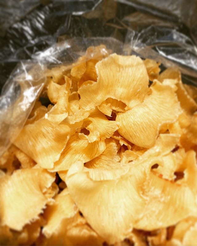 .青森から届いたフカヒレ🦈🦈.明日から新しいメニューで使います️..The dried shark fin which arrived from Aomori. I’ll use it in a new dish from tomorro..@cheffhiro